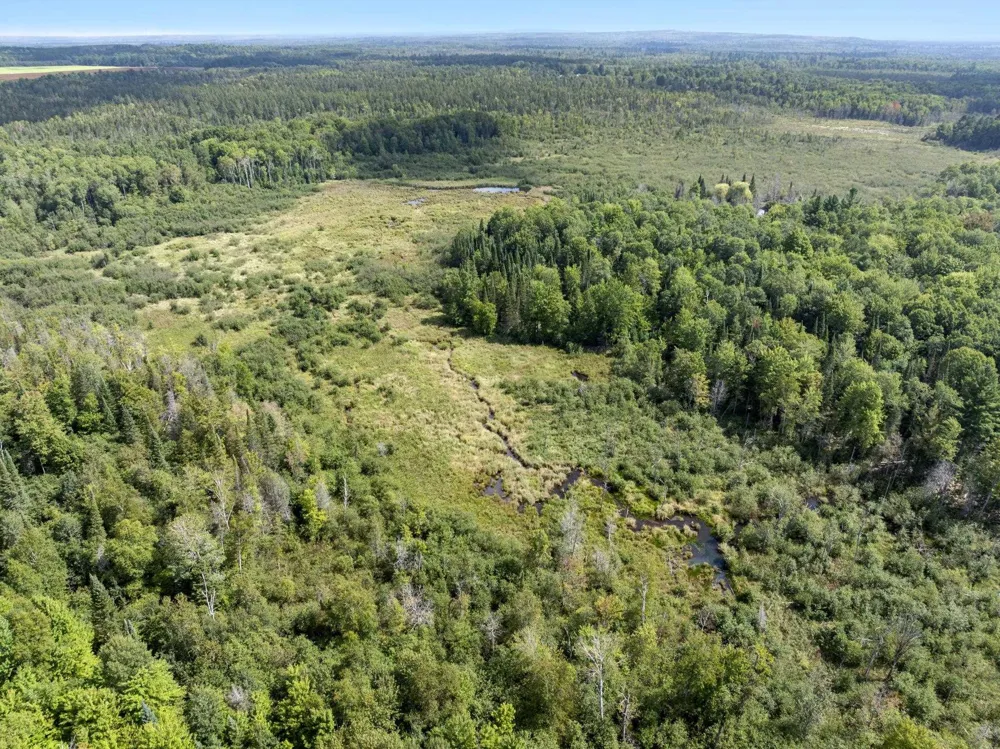 4517 SE Pierson Creek Road Oliver Township, MI 49646