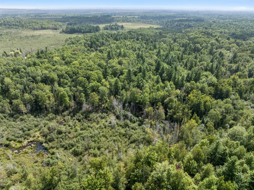 4517 SE Pierson Creek Road Oliver Township, MI 49646