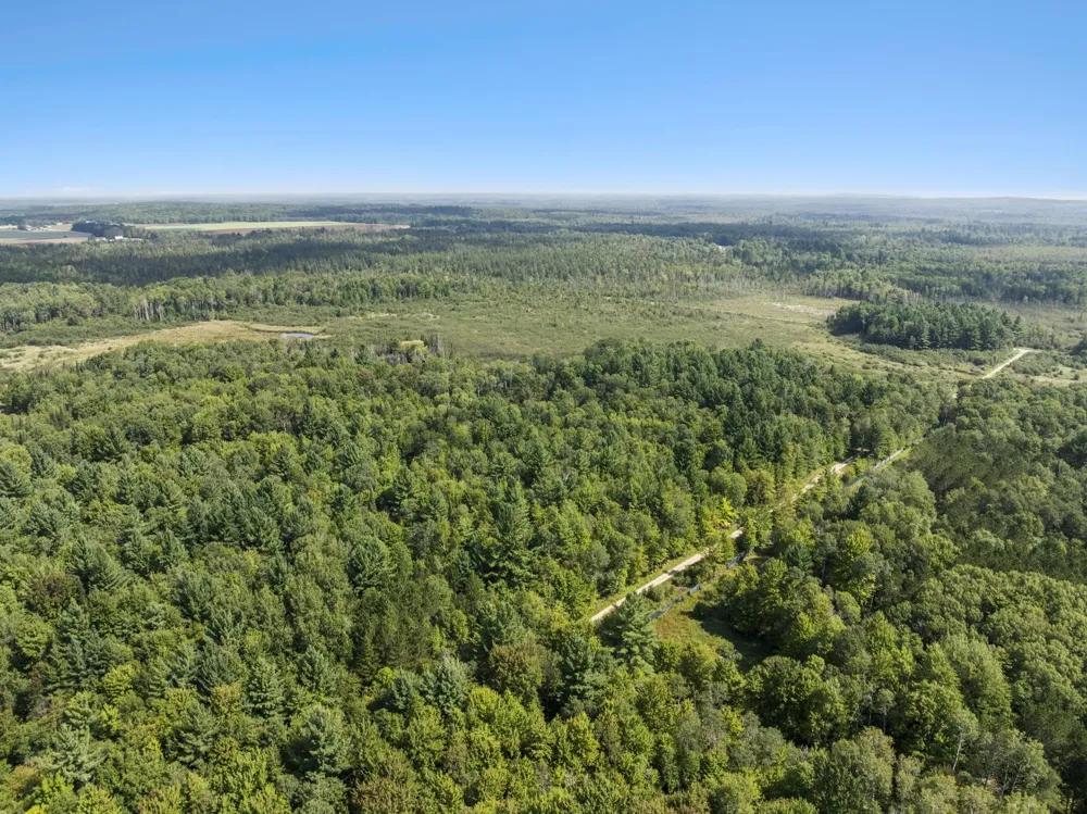 4517 SE Pierson Creek Road Oliver Township, MI 49646