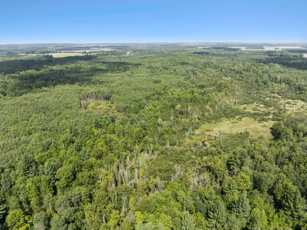 4517 SE Pierson Creek Road Oliver Township, MI 49646