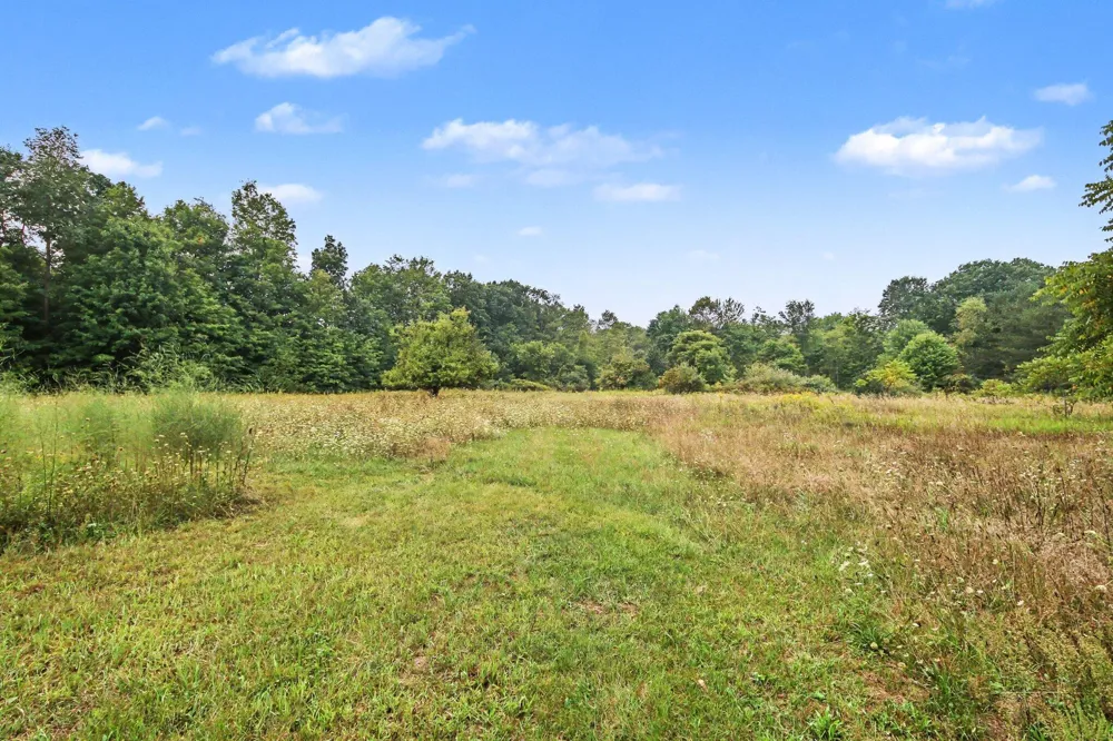 15415 Simmons Avenue NE Solon Township, MI 49319