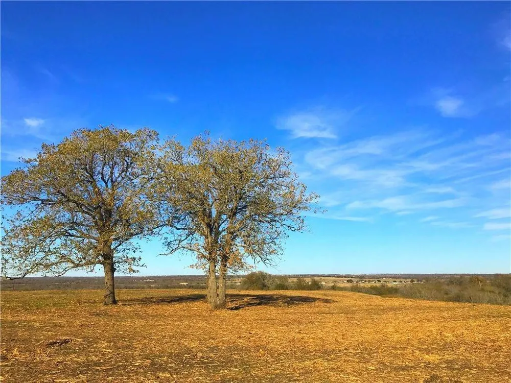 10521 Bitting School Road Manor, TX 78653