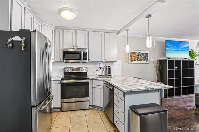 909 Logan Street #5B Denver, CO 80203