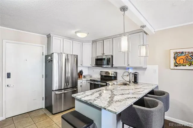 909 Logan Street #5B Denver, CO 80203