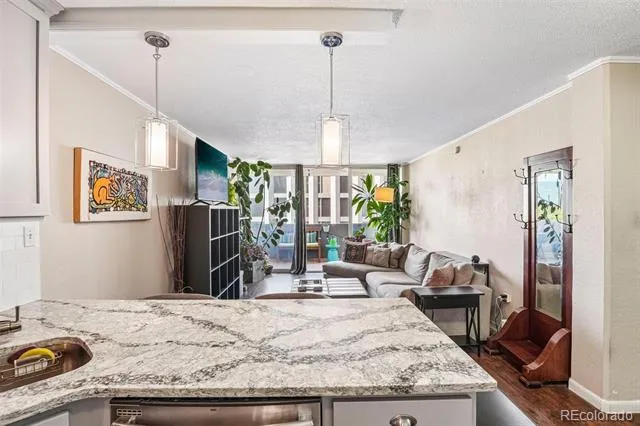 909 Logan Street #5B Denver, CO 80203