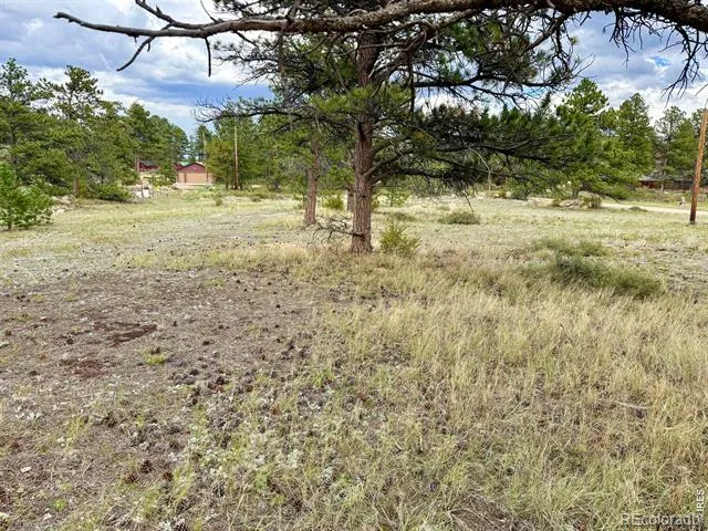 Eagle Tree Circle Red Feather Lakes, CO 80545