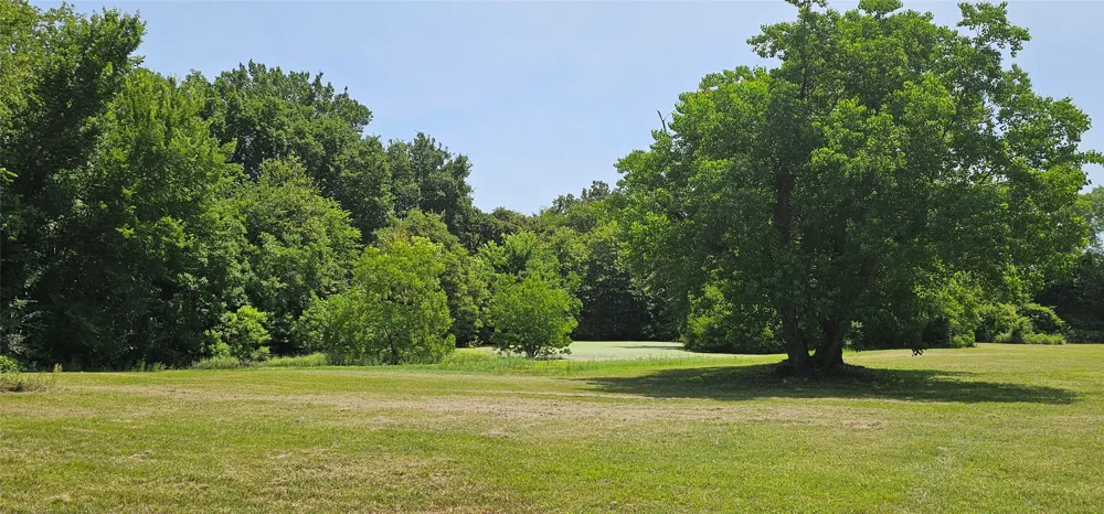 812 Waldrip Street Grand Saline, TX 75140