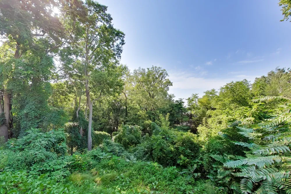 1008 Lake Boulevard St. Joseph, MI 49085