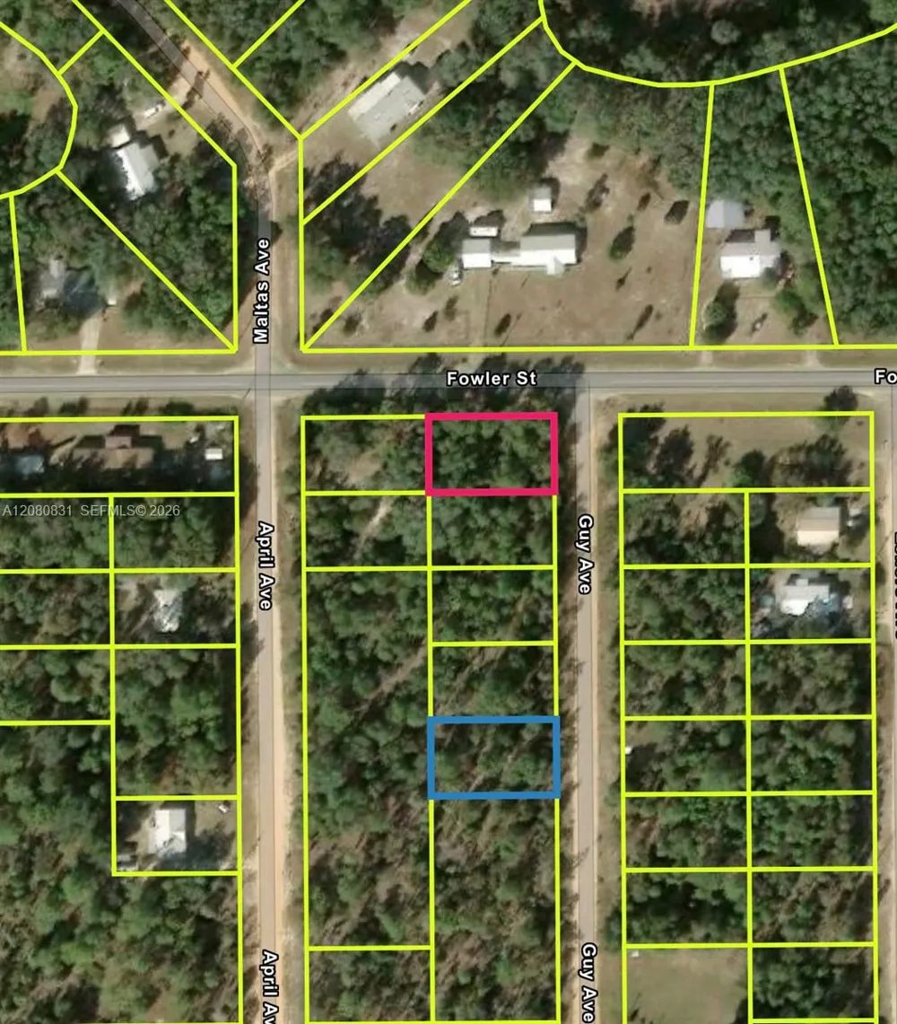 Guy Avenue Other City - Not In The State Of Florida, FL 32148