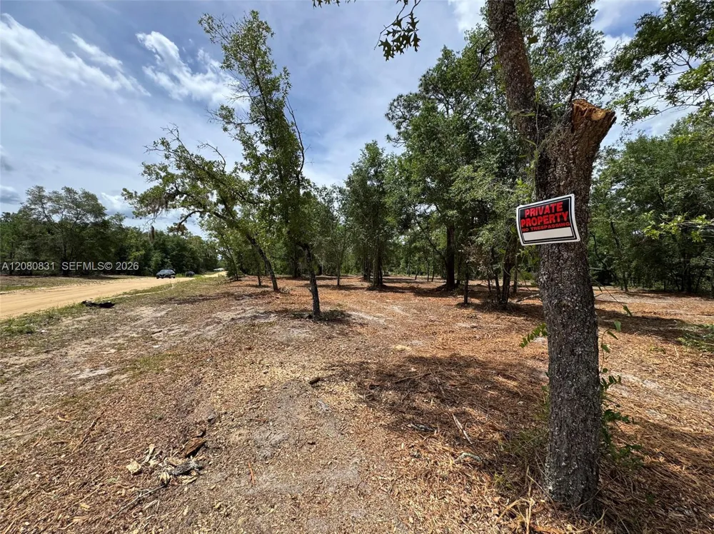 Guy Avenue Other City - Not In The State Of Florida, FL 32148