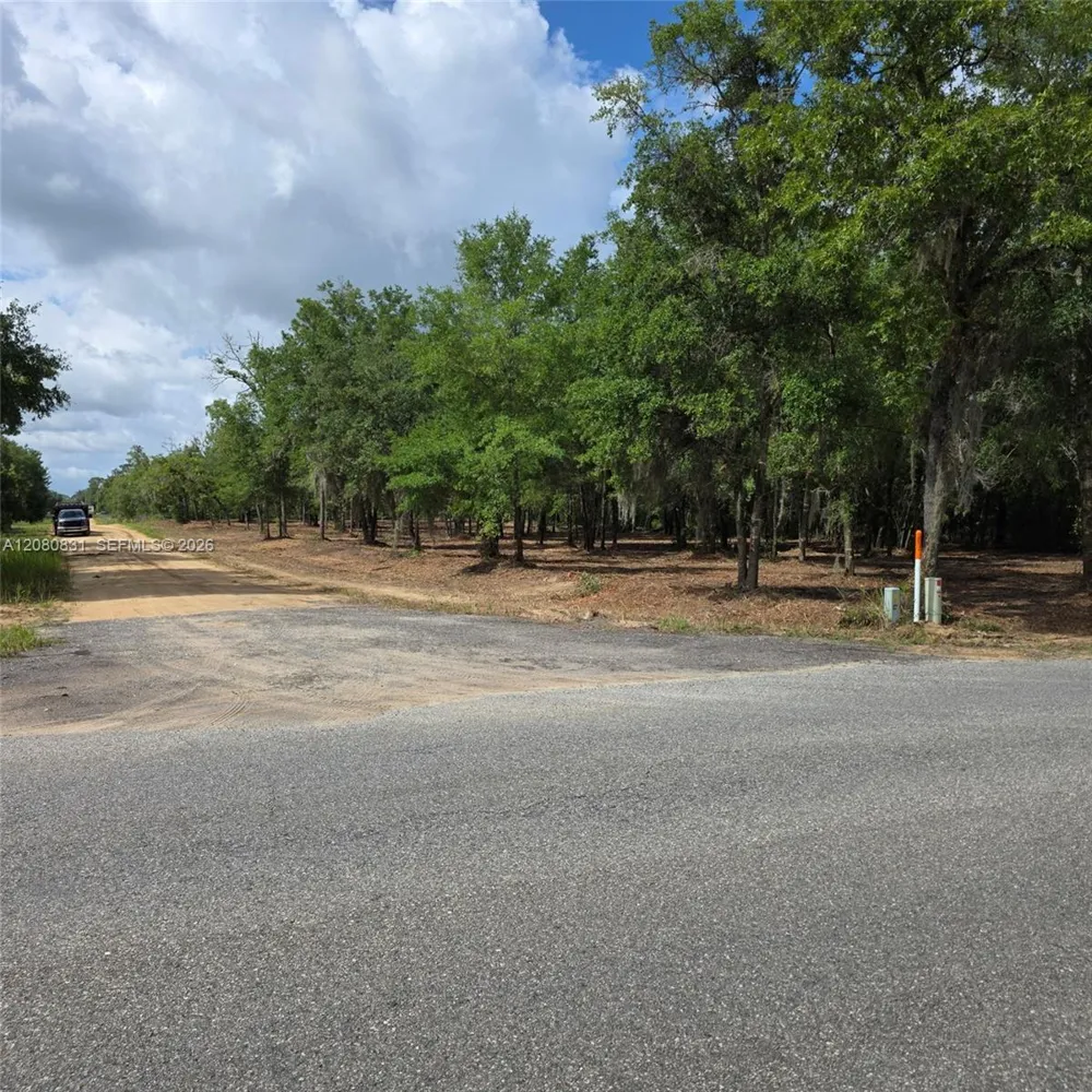 Guy Avenue Other City - Not In The State Of Florida, FL 32148