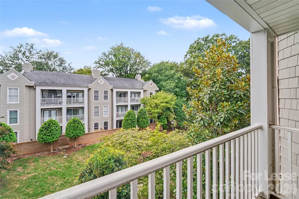 244 S Cedar Street #5 Charlotte, NC 28202