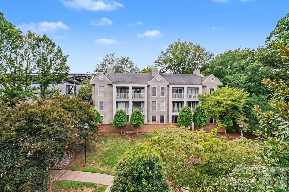 244 S Cedar Street #5 Charlotte, NC 28202