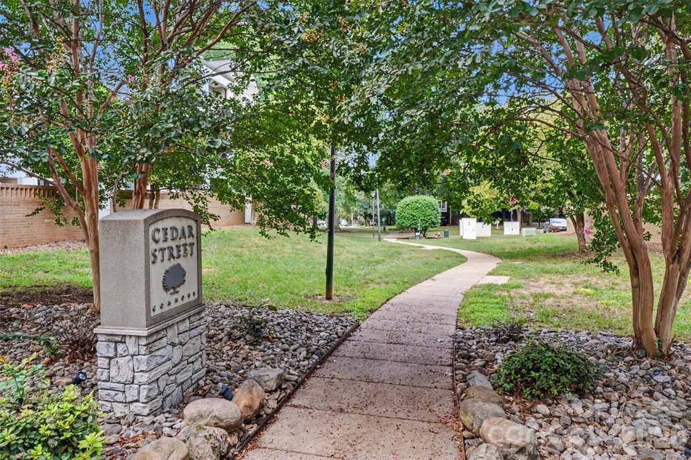244 S Cedar Street #5 Charlotte, NC 28202