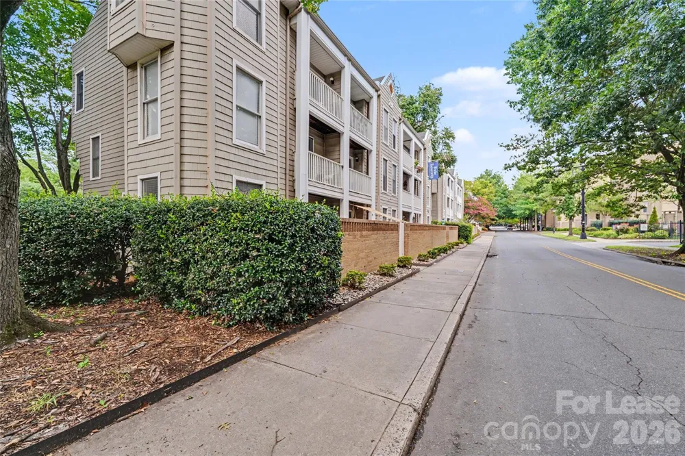 244 S Cedar Street #5 Charlotte, NC 28202