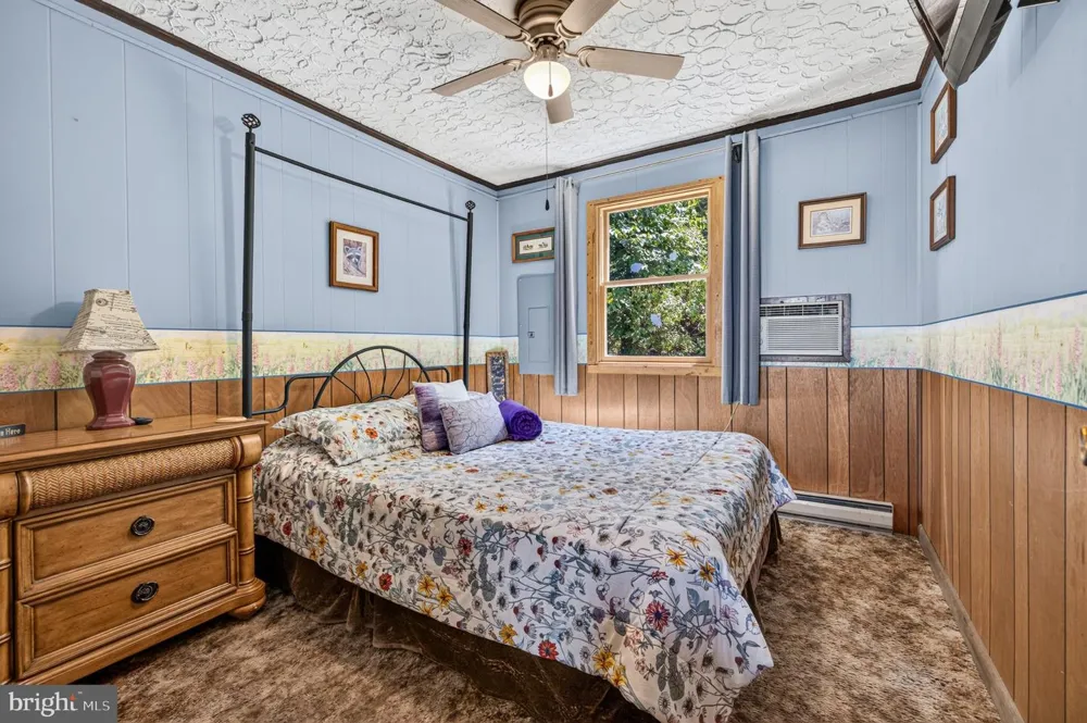 631 OVERLOOK DRIVE Rileyville, VA 22650