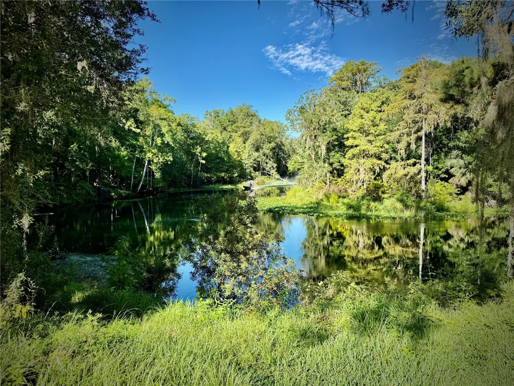 10226 NE 28TH LOOP Silver Springs, FL 34488