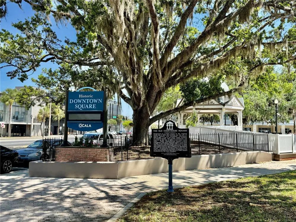 10226 NE 28TH LOOP Silver Springs, FL 34488