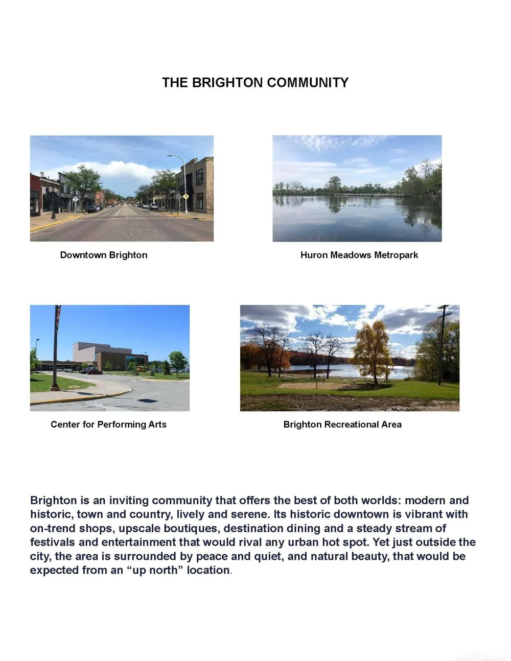 3641 Chatham Place Brighton Township, MI 48114