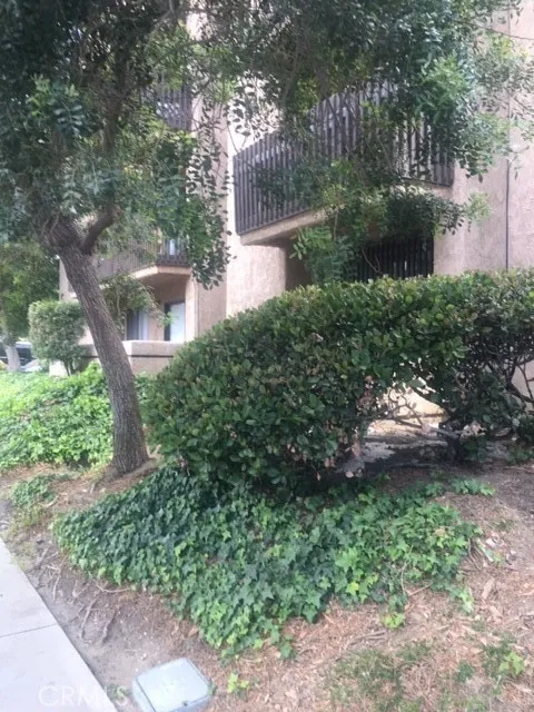 22100 Burbank Blvd #350F Woodland Hills, CA 91364
