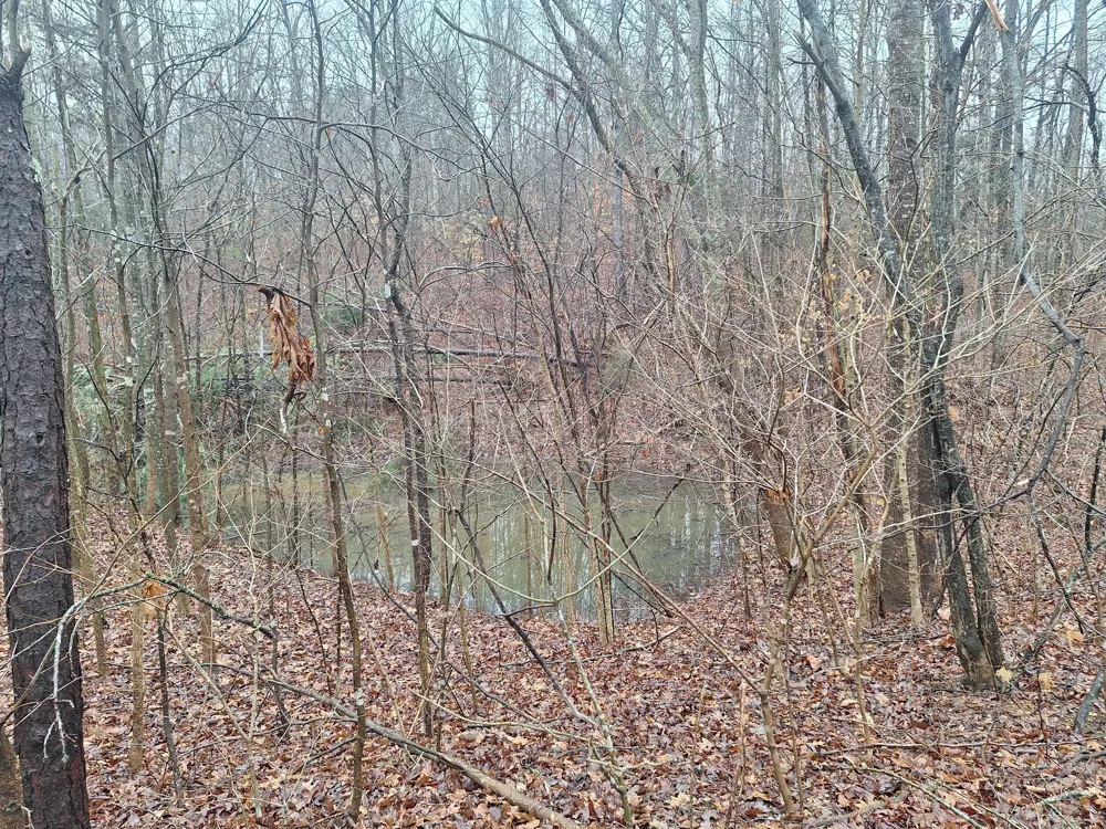 199 Dixon Ln Waynesboro, TN 38485