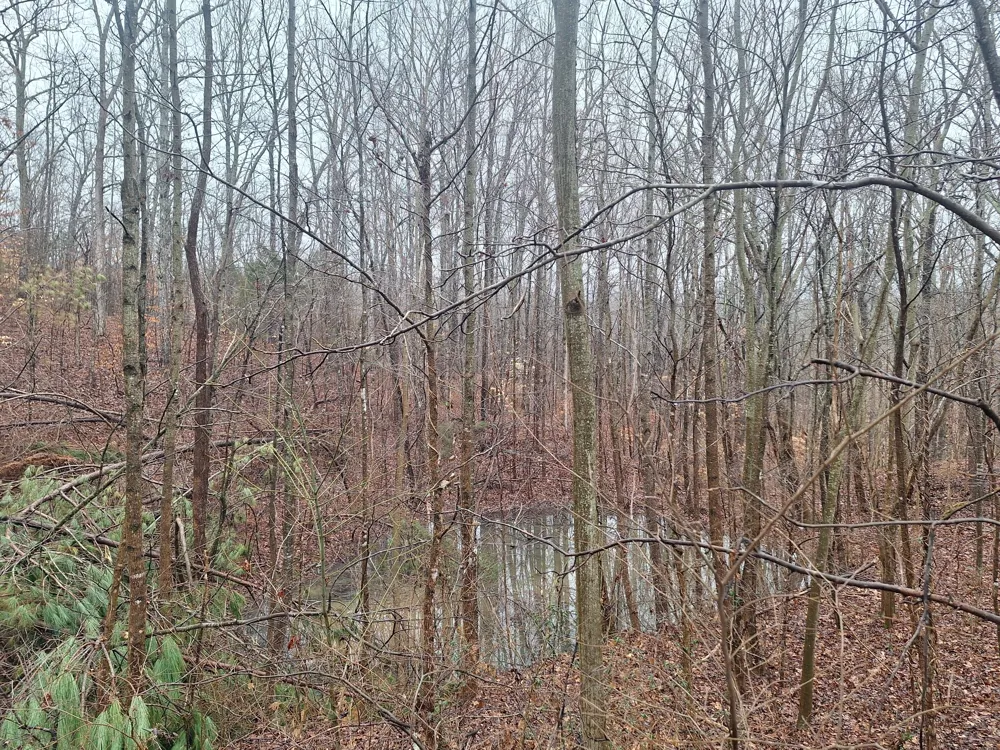 199 Dixon Ln Waynesboro, TN 38485