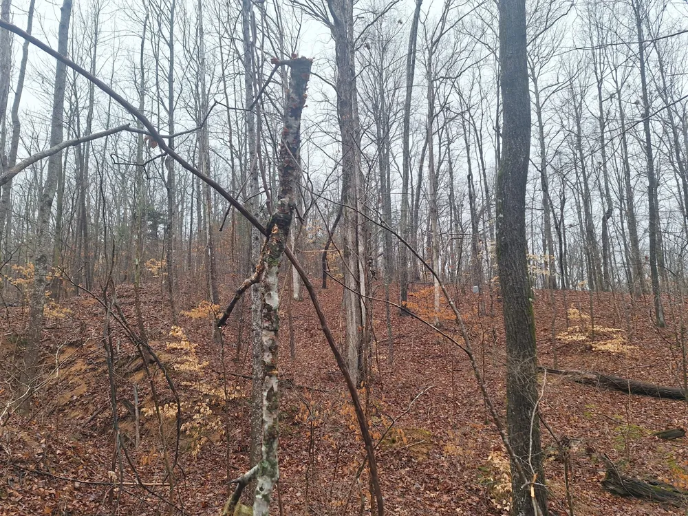 199 Dixon Ln Waynesboro, TN 38485