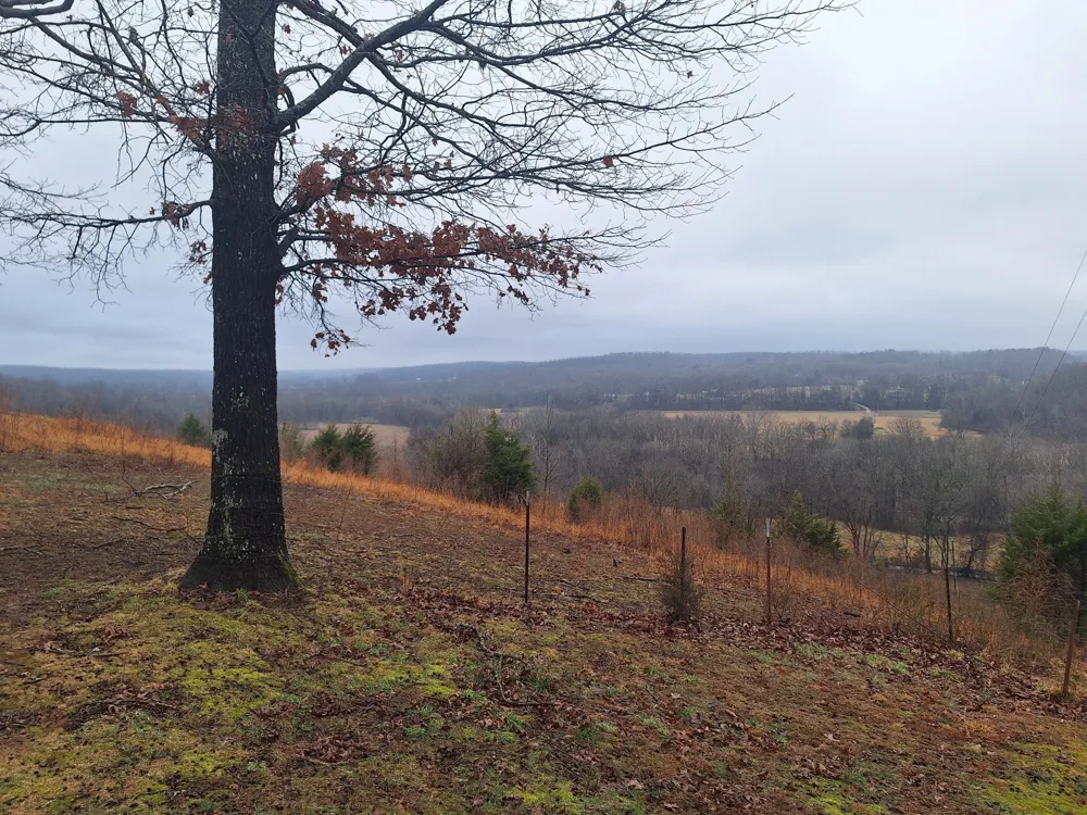 199 Dixon Ln Waynesboro, TN 38485