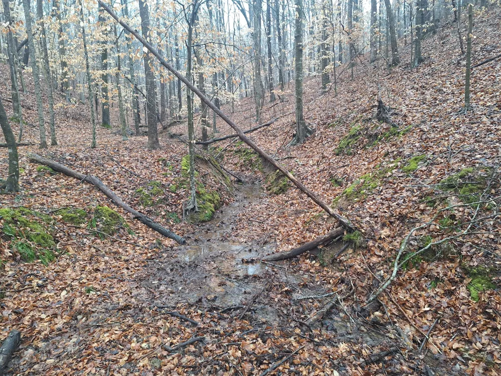 199 Dixon Ln Waynesboro, TN 38485