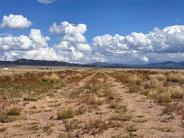 40002443 CO RD 11 PARCEL 40002443 Blanca, CO 81123