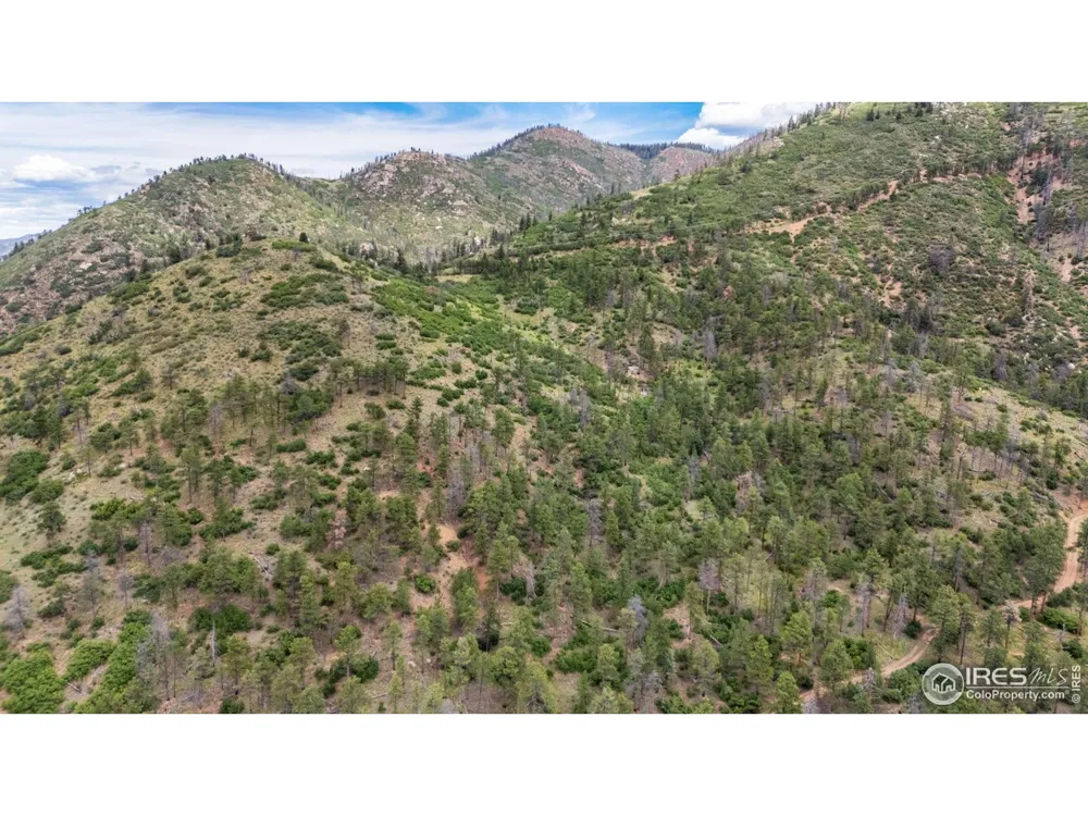 9150 W Highway 24 Cascade, CO 80809