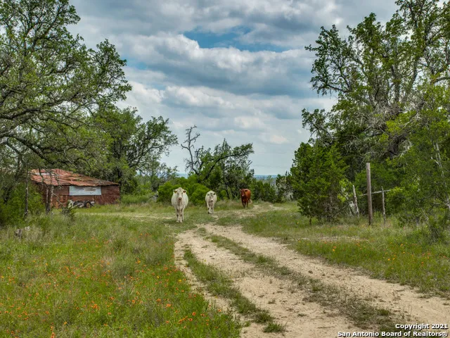 706 Paleface Ranch Rd S Spicewood, TX 78669