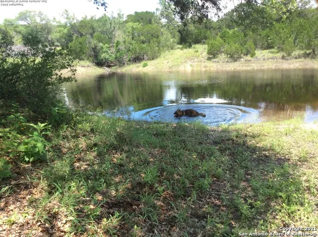706 Paleface Ranch Rd S Spicewood, TX 78669