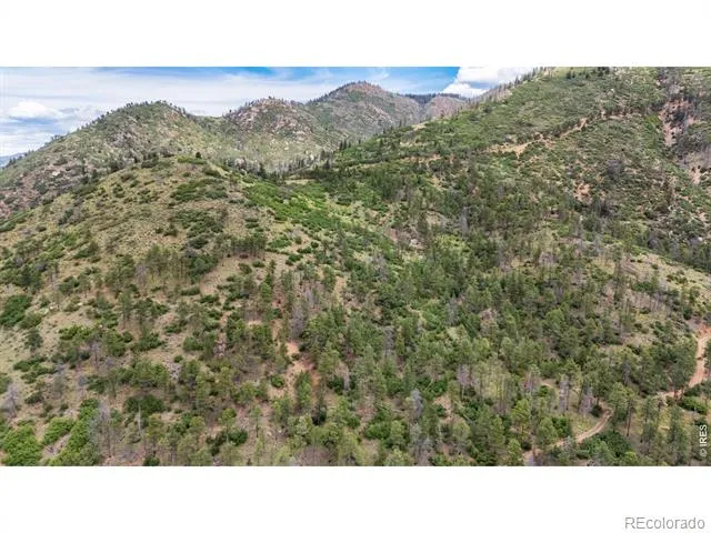 9150 W Highway 24 Cascade, CO 80809