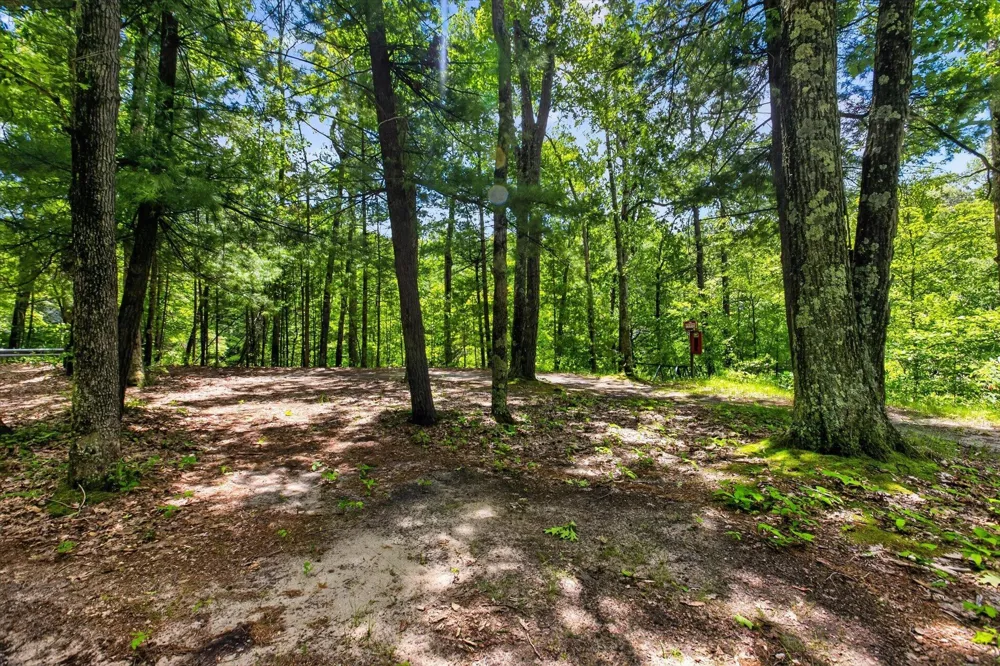 4398 Newcosta Avenue #Parcel B Morley, MI 49336