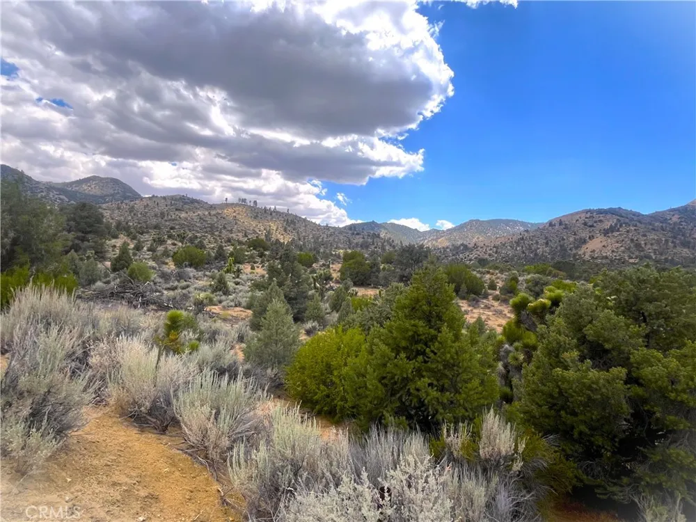 Pine Hollow Rd. Onyx, CA 93255