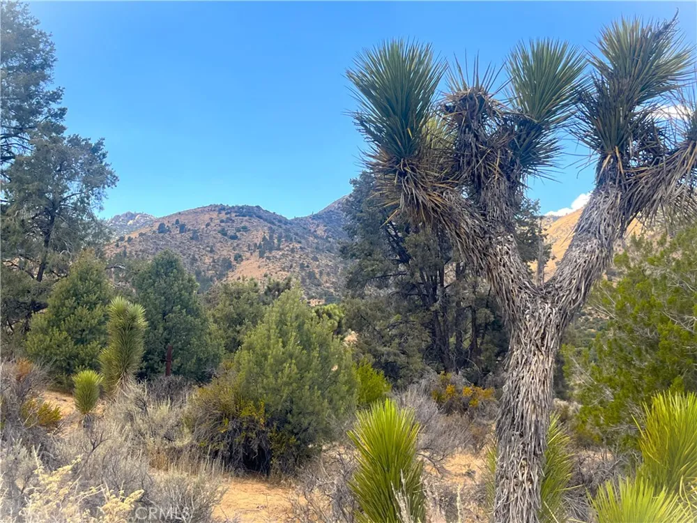 Pine Hollow Rd. Onyx, CA 93255