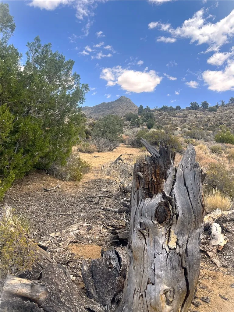Pine Hollow Rd. Onyx, CA 93255