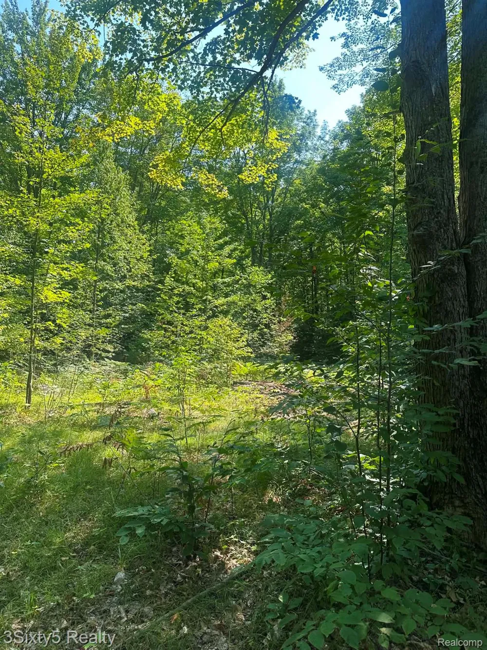 Ky Highway Ken Pen Maple Forest Township, MI 49733