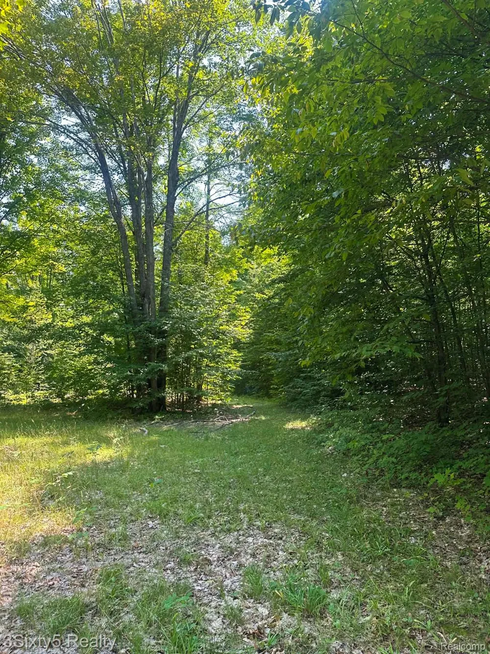 Ky Highway Ken Pen Maple Forest Township, MI 49733