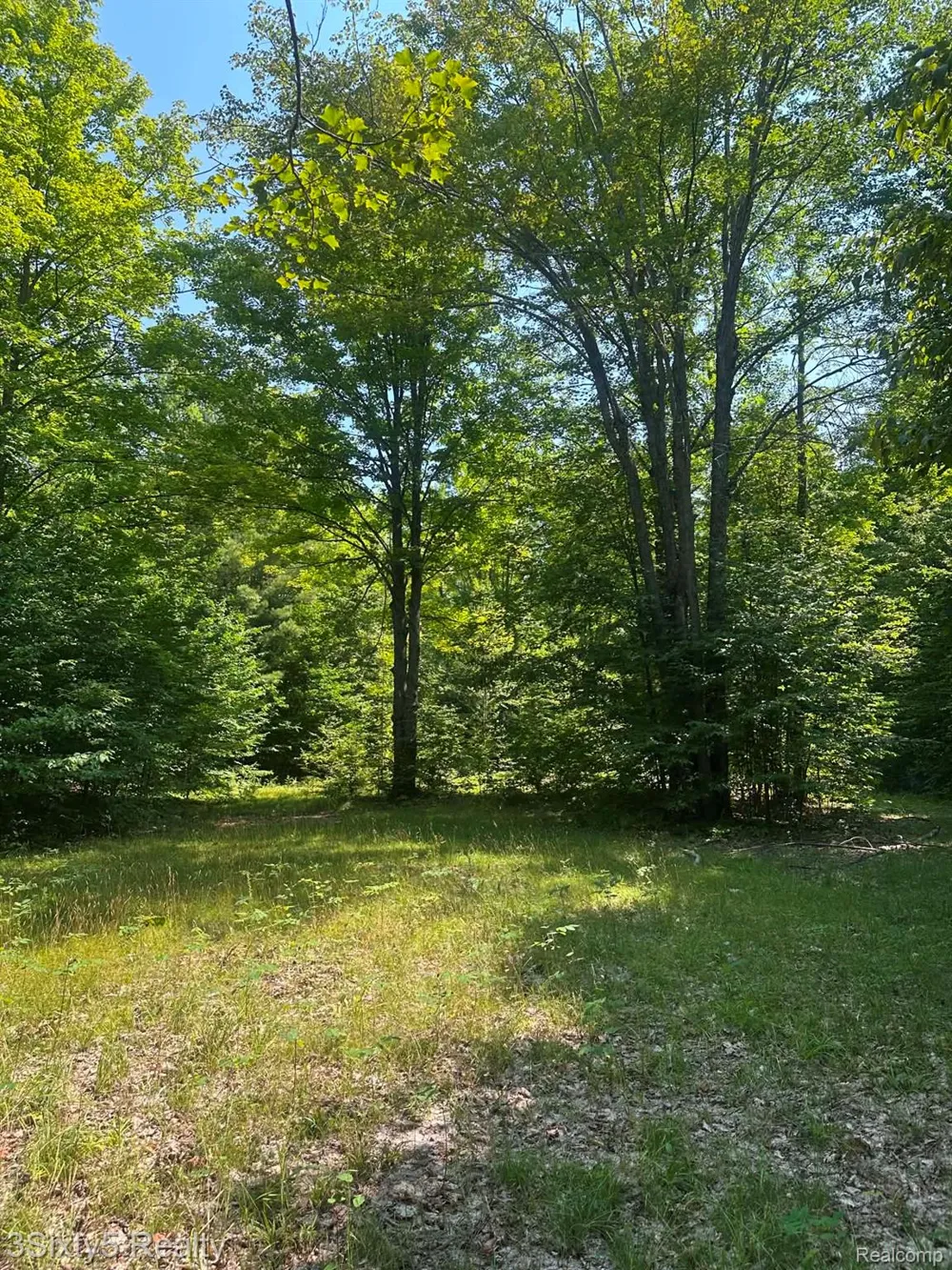Ky Highway Ken Pen Maple Forest Township, MI 49733
