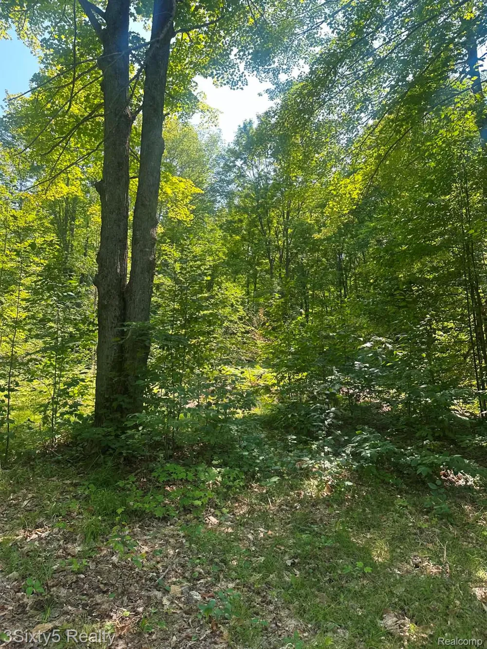 Ky Highway Ken Pen Maple Forest Township, MI 49733