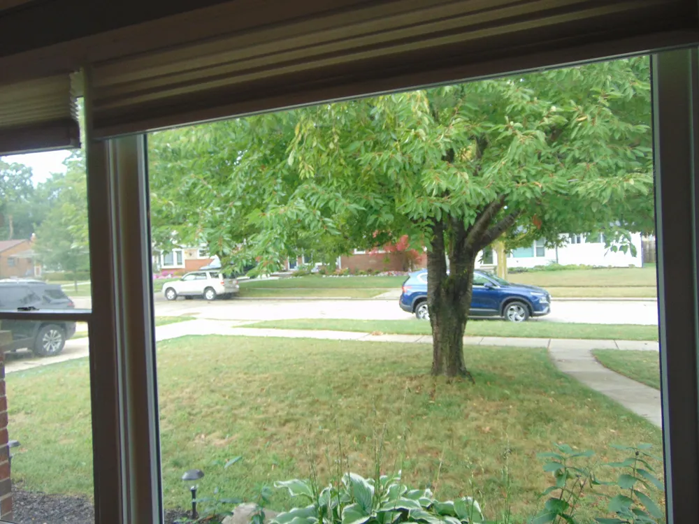 1616 Genesee Drive Royal Oak City, MI 48073