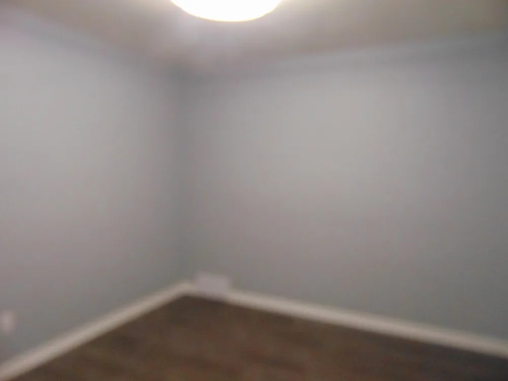 1616 Genesee Drive Royal Oak City, MI 48073