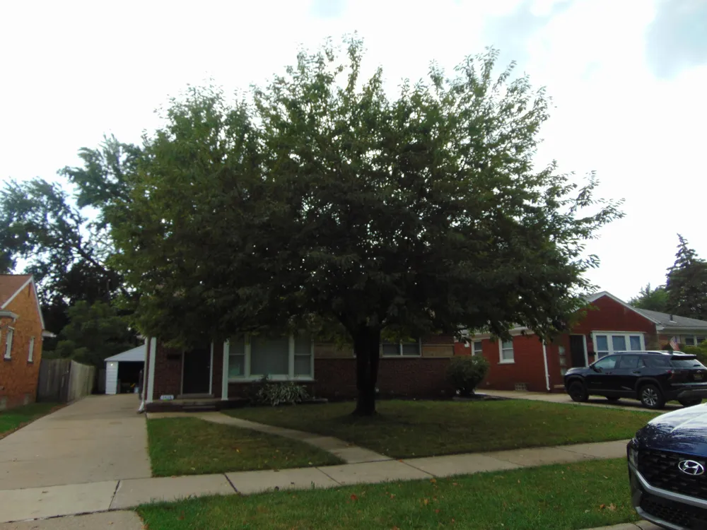 1616 Genesee Drive Royal Oak City, MI 48073