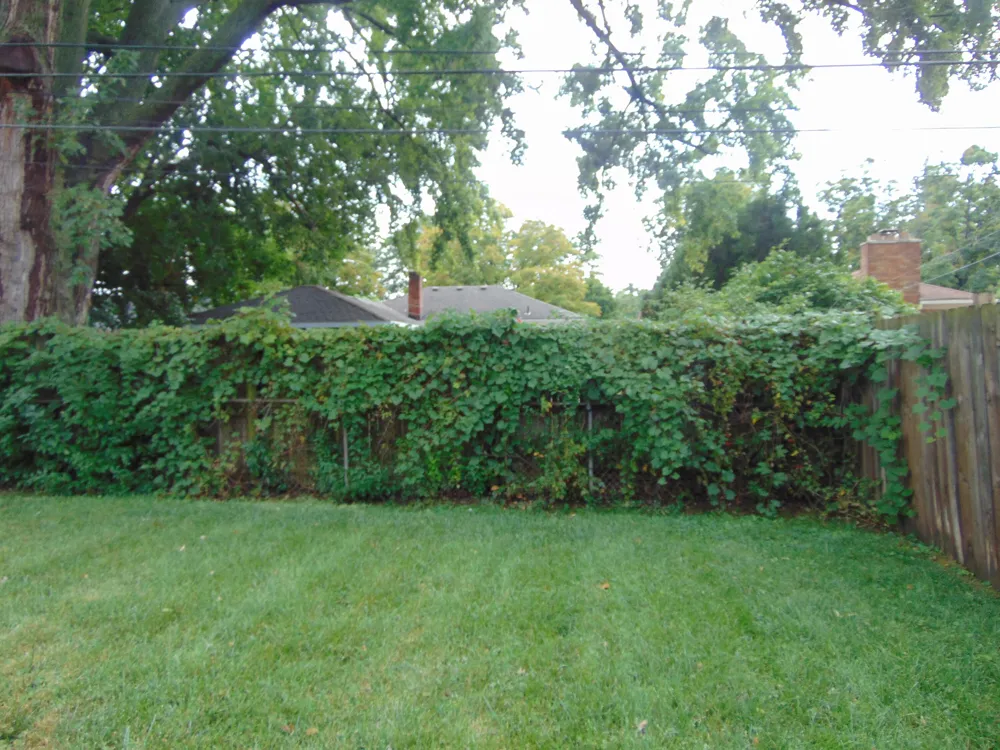 1616 Genesee Drive Royal Oak City, MI 48073