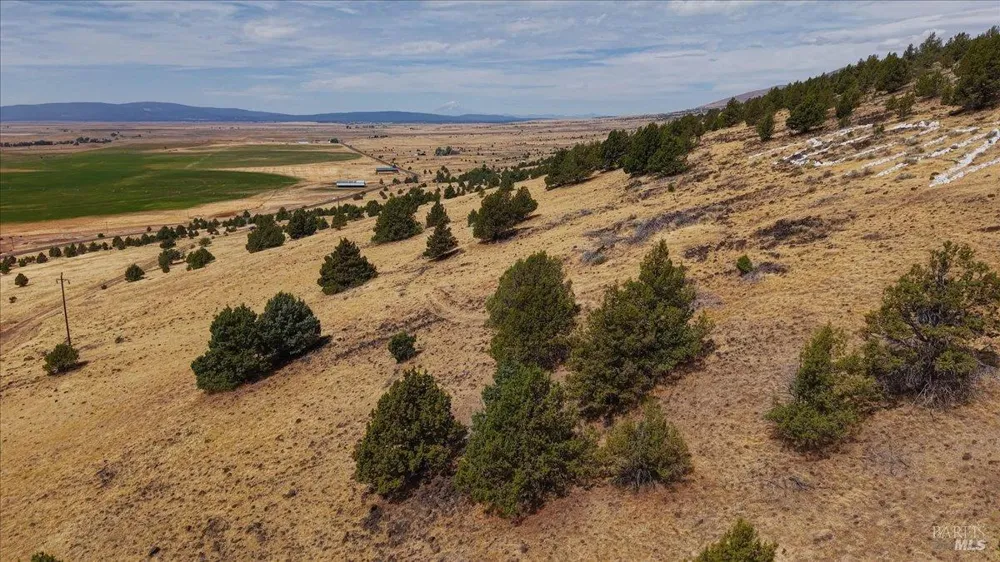 County Road Adin, CA 96006