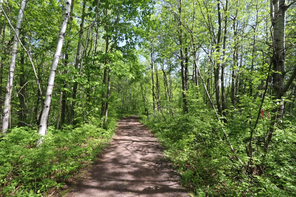 Lot 38 Eagle Run Bayfield, WI 54814