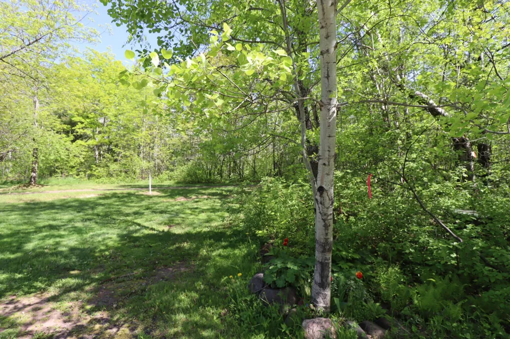 Lot 19 Eagle Run Bayfield, WI 54814