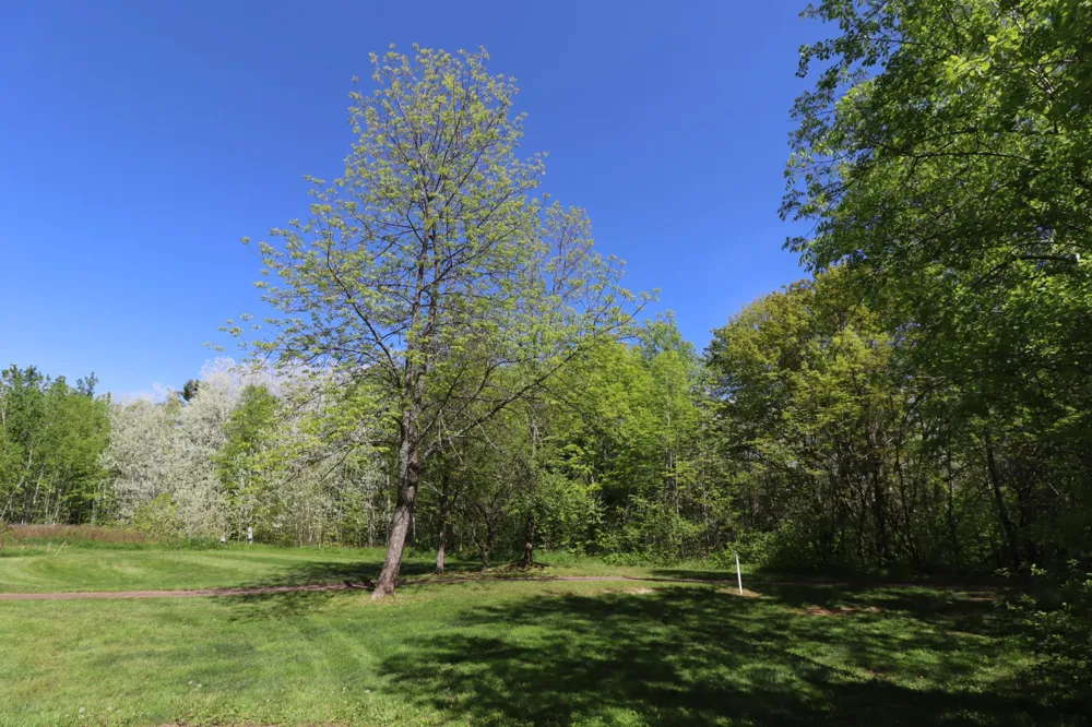 Lot 19 Eagle Run Bayfield, WI 54814